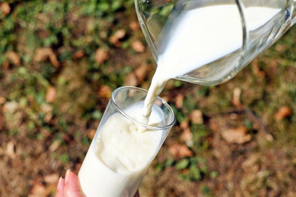 Šta znači sanjati mleko?
