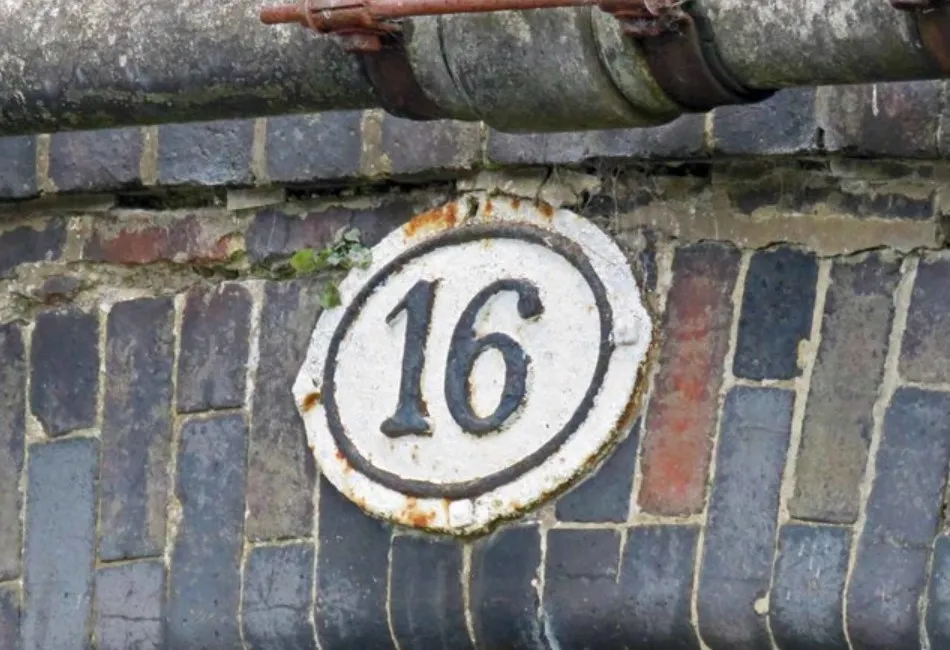 Šta znači sanjati broj 16?