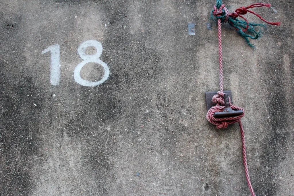 Šta znači sanjati broj 18?