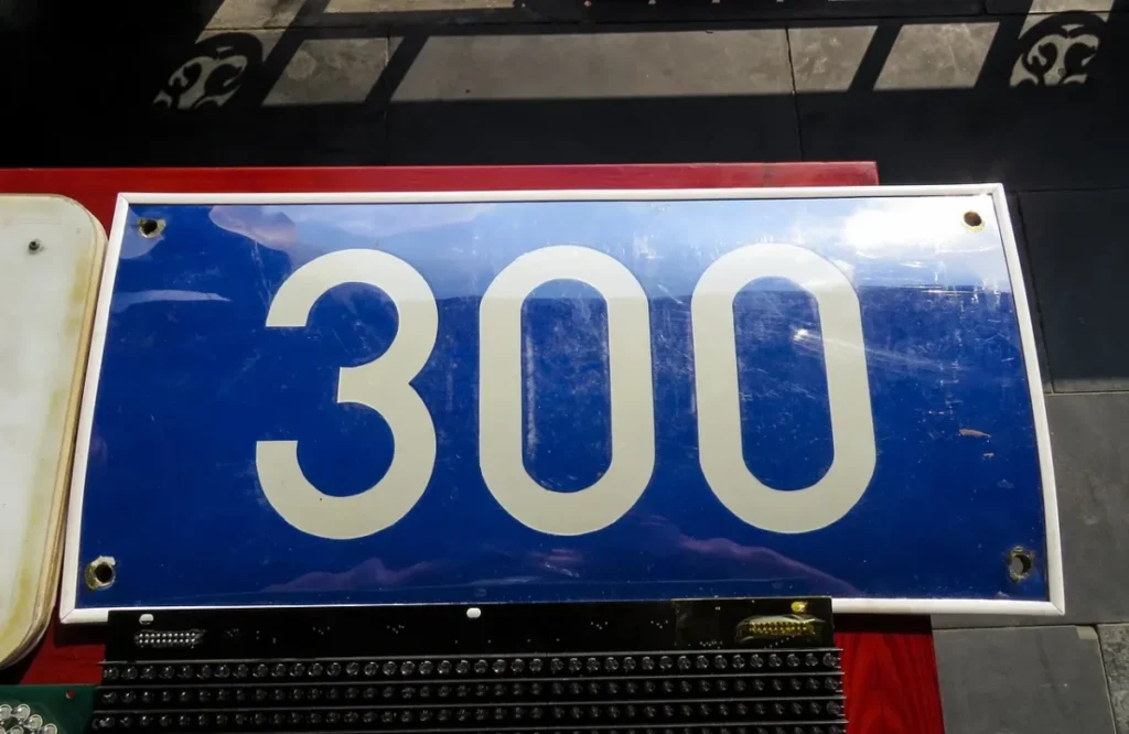 Šta znači sanjati broj 300?